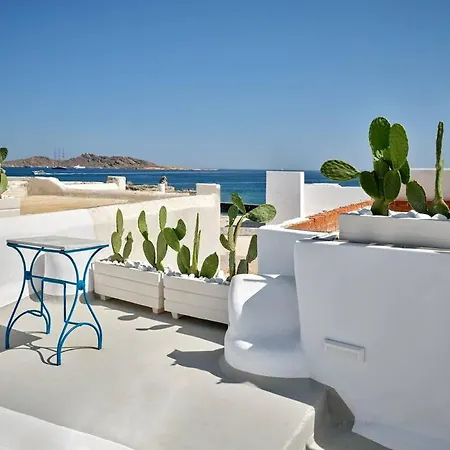 Brunella Paros Naousa (Paros)