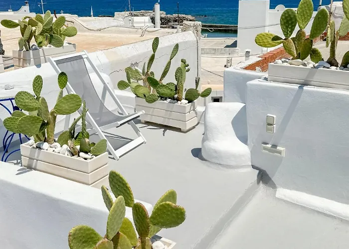 Brunella Paros Naousa